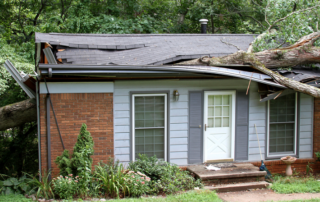 A large tree has fallen onto the roof of a brick house, causing significant damage to the structure.