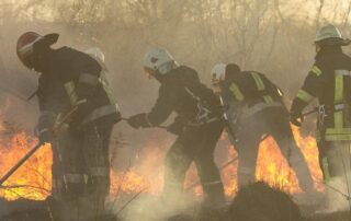 Four firefighters in protective gear work together to control and extinguish a grass fire, with visible flames and smoke in the background.