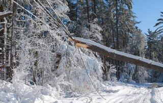 A snow-covered tree has fallen onto power lines along a forest road, causing the lines to sag and partially blocking the snowy roadway.