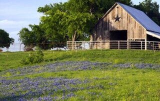 A wooden barn with a metal roof and star decor sits on a grassy hill, surrounded by trees and a metal fence, with blue wildflowers in the foreground.